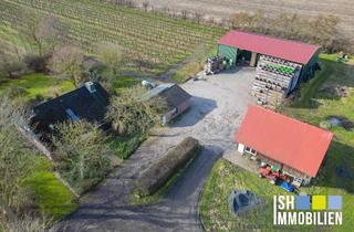 Haus kaufen in 21712 Großenwörden, Großenwörden - Biodynamischer Obsthof mit Wohnhaus als Komplettpaket