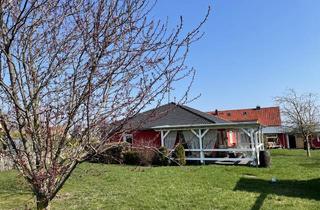 Einfamilienhaus kaufen in 06618 Naumburg, Traumhaftes Einfamilienhaus im Bungalowstil – barrierefrei und sofort bezugsfertig