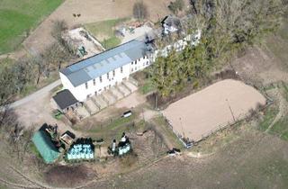 Mehrfamilienhaus kaufen in 54675 Mettendorf, Mettendorf - Reiterhof Aussiedlerhof in wunderschöner Alleinlage