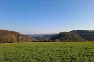 Bauernhaus kaufen in 55606 Kirn, Kirn - Leben in Harmonie mit der Natur und den Pferden: Saniertes Bauernhaus mit Pferdebereich, ca. 6,2 ha Eigenland und 3,3 ha möglichen Pachtflächen