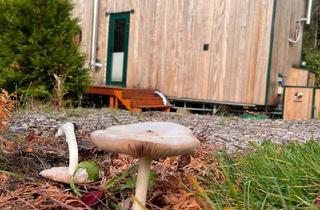 Haus kaufen in 69483 Wald-Michelbach, Wald-Michelbach - TinyHouse hohe Qualität, exklusives Design, gemütlich, mobil