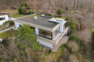 Einfamilienhaus kaufen in 72813 St. Johann, St. Johann - Einfamilienhaus mit Einliegerwohnung in einzigartiger Waldrandlag