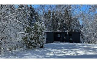 Haus kaufen in 21218 Seevetal, Seevetal - 5000m² Stilvolles Waldhaus mit Potenzial in der Lindhorster Heide