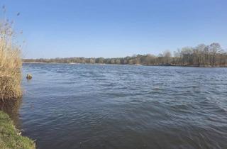 Haus kaufen in 15910 Unterspreewald, Unterspreewald - Ein Ort, der mehr ist als ein Zuhause