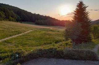 Wohnung kaufen in Terrassenpark, 77887 Sasbachwalden, Renovierte Eigentums/Ferienwohnung mit Hallenbad und Balkon in der ersten unverbaubaren Reihe