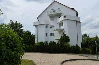 Wohnung mieten in Mainzer Straße 66, 65479 Raunheim, 2 ZKBB, TG-Stellplatz, Raunheim