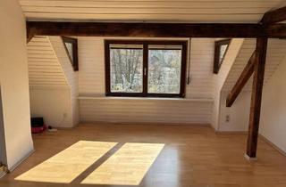 Lofts mieten in Kantstrasse XX, 68165 Schwetzingerstadt, Helle Loftwohnung in der Oststadt mit Blick ins Grüne