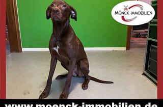 Haus kaufen in 26826 Weener, Ein Geschenk für Mensch und Tier nahe der niederländischen Grenze!