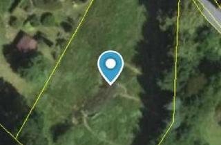 Grundstück zu kaufen in 95500 Heinersreuth, Naturnahes, großzügiges Baugrundstück mit vielen Möglichkeiten