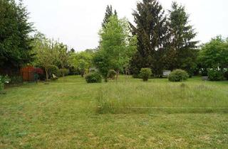 Grundstück zu kaufen in 15806 Zossen, Grundstück in Dabendorf mit Blick auf Feld und Naturschutzgebiet