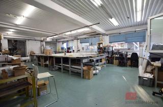 Gewerbeimmobilie mieten in 88239 Wangen, Vielfältige Gewerbeimmobilie im Industriegebiet in Wangen im Allgäu