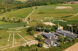 Immobilie kaufen in 93161 Sinzing, THE RANCH - Ein Reiterhof der Extraklasse