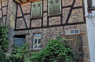 Haus kaufen in 35516 Münzenberg, Münzenberg - Verkaufe einzigartigen Vierseitenhof in toller Lage