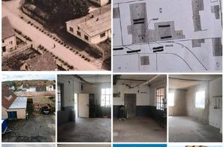 Einfamilienhaus kaufen in 35321 Laubach, Laubach - Gebäudekomplex m. 3 Wohneinheiten, Lagerhalle und gr. Grundstück