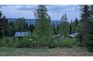Haus kaufen in 86551 Aichach, Aichach - Selbstversorgergrundstück mit Wald, 5,4 ha in Värmland, Schweden