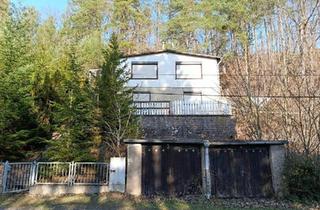 Haus kaufen in 06313 Ahlsdorf, Ahlsdorf - Idyllisches Waldgrundstück mit 2 Häusern & Kamin - Rückzugsort!