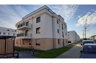 Wohnung mieten in 12529 Schönefeld, Exklusive 2-Zimmer-Wohnung mit Balkon in Schönefeld