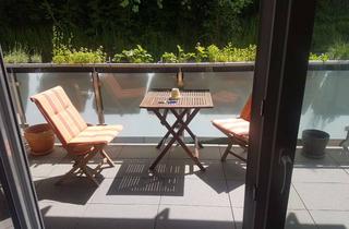 Wohnung mieten in Mainzer Straße 37b, 55291 Saulheim, Neuwertige 2-Raum-Wohnung in Saulheim zum 01.06.2024