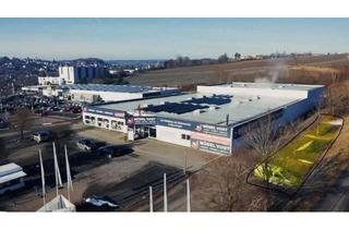Garagen mieten in Friedrich-List-Straße, 72488 Sigmaringen, Stellplatz-Areal als Gewerbefläche zur Miete - Ideal für Fahrzeughandel-/Verleih