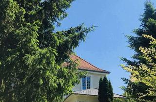 Villa kaufen in 67227 Frankenthal, Rarität – Traumhafte Altbauvilla in Frankenthal-Lauterecken