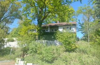 Haus mieten in 29459 Clenze, Taumlage: Haus mit 8 Zimmern in Clenze