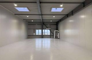 Gewerbeimmobilie mieten in Löhrstraße, 56626 Andernach, Klimatisierte Neubau Gewerbehalle, Flächen 120qm oder 240qm, Halle, Lagerhalle