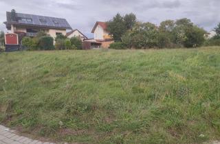 Grundstück zu kaufen in 63906 Erlenbach, Großes BAUGRUNDSTÜCK in ruhiger, naturnaher Lage