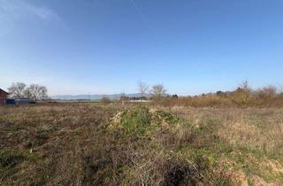 Grundstück zu kaufen in Am Pfefferminzbähnel 24, 67435 Lachen-Speyerdorf, Grundstück mit Haardtblick und Feldrandlage in Neustadt a.d.W.