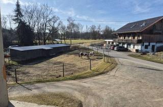 Wohnung mieten in Wigelis, 87763 Lautrach, Helle 2-Zimmer-Wohnung in Lautrach mit ca. 70 m² Wohnfläche