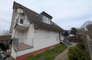 Wohnung mieten in 52385 Nideggen, Erstbezug nach Sanierung: Moderne 2-Zimmer-Wohnung mit Terrasse in Nideggen
