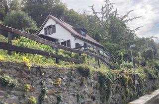 Einfamilienhaus kaufen in 45239 Werden, Naturverbundenes kleines Einfamilienhaus in Essen-Werden