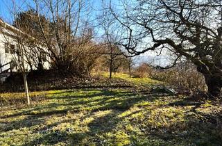 Einfamilienhaus kaufen in Odenwaldweg, 74736 Hardheim, Hervorragende Lage: Barrierefreies Einfamilienhaus mit ELW und großem Grundstück