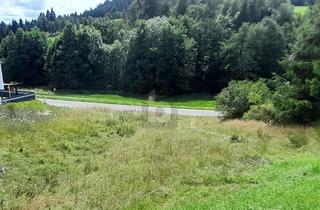 Grundstück zu kaufen in 78730 Lauterbach, SOFORT BEBAUBAR: GENEHMIGTES WOHNHAUS INKLUSIVE