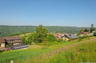 Grundstück zu kaufen in 64757 Rothenberg, Oberzent-Rothenberg: Leben, wo andere Urlaub machen!
