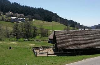 Grundstück zu kaufen in 79429 Malsburg-Marzell, Großes idyllisches Baugrundstück