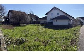 Grundstück zu kaufen in 76456 Kuppenheim, RUHIG WOHNEN, ZENTRAL LEBEN