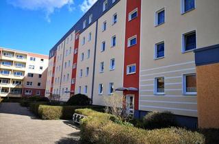 Wohnung mieten in Trebelehof, 18528 Bergen, ++ Singlewohnung zum Wohlfühlen ++