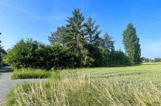 Grundstück zu kaufen in 04425 Taucha, Traumhaftes Baugrundstück mit grünem Ausblick!