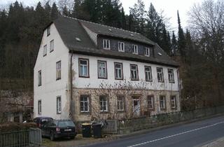 Mehrfamilienhaus kaufen in 01737 Tharandt, Tharandt - Haus in Tharandt zu verkaufen, Mehrfamilienhaus