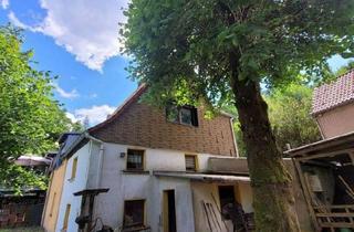 Doppelhaushälfte kaufen in 58849 Herscheid, Herscheid - Kleinod in idyllischer Außenbereichslage mit Scheune, 7 ha