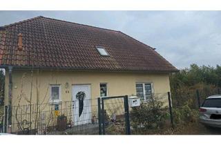 Einfamilienhaus kaufen in 03238 Finsterwalde, Finsterwalde - Traumhaftes Einfamilienhaus Ohne Makler