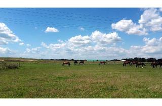 Haus kaufen in 15806 Zossen, Zossen - Provisionsfreies Traumhaus mit Blick auf Pferdekoppel(2017)