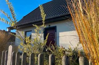 Einfamilienhaus kaufen in 27243 Harpstedt, Harpstedt - Stilvolles Einfamilienhaus Harpstedt Zentrale Lage