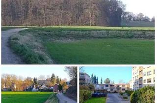 Wohnung kaufen in 50226 Frechen, Helle, bezugsfreie 2,5-Zimmer Wohnung in Waldrandlage von Frechen-Königsdorf