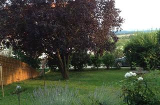 Wohnung mieten in Bruehlstraße, 72181 Starzach, Renovierte 3-Zimmer-Wohnung mit Terasse im EG in Starzach