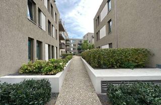 Wohnung mieten in Lichtburgring 24, 13355 Berlin, Helle 2-Zimmer Wohnung mit Einbauküche und Terrasse direkt am Mauerpark