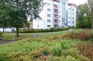 Wohnung mieten in Scheffelstr., 23909 Ratzeburg, Schöne 2-Zimmer Wohnung in Ratzeburg