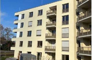 Wohnung mieten in August-Dosenbach-Straße 13 a, 76189 Daxlanden, Große Zwei-Zimmer-Wohnung mit Gartenanteil (Nr. 01)