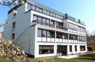 Wohnung mieten in 67663 Innenstadt, Helles Studentenappartement mit Balkon in Kaiserslautern-West