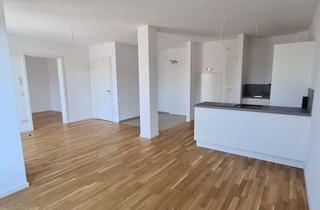 Wohnung mieten in Schwendengarten 11, 90411 Ziegelstein, Neuwertige, helle und barrierefreie 2-Zimmer Neubauwohnung mit einladender Loggia